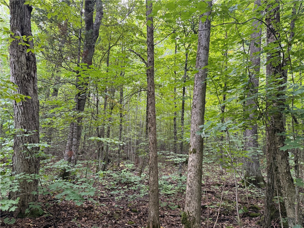 9598 E County Road L Lake Nebagamon WI 54849 1595231 image15