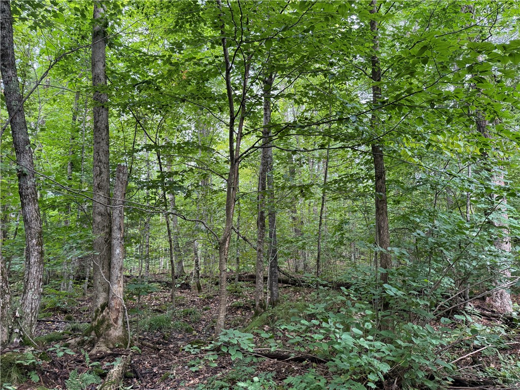 9598 E County Road L Lake Nebagamon WI 54849 1595231 image16