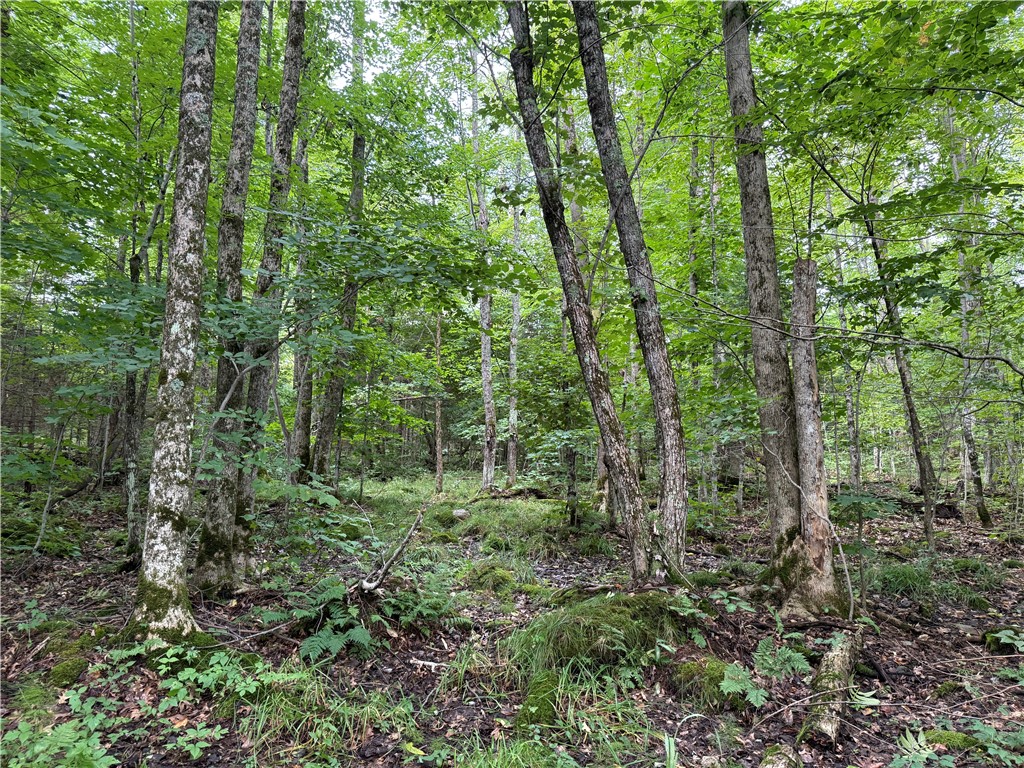 9598 E County Road L Lake Nebagamon WI 54849 1595231 image17