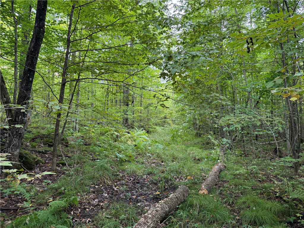 9598 E County Road L Lake Nebagamon WI 54849 1595231 image18