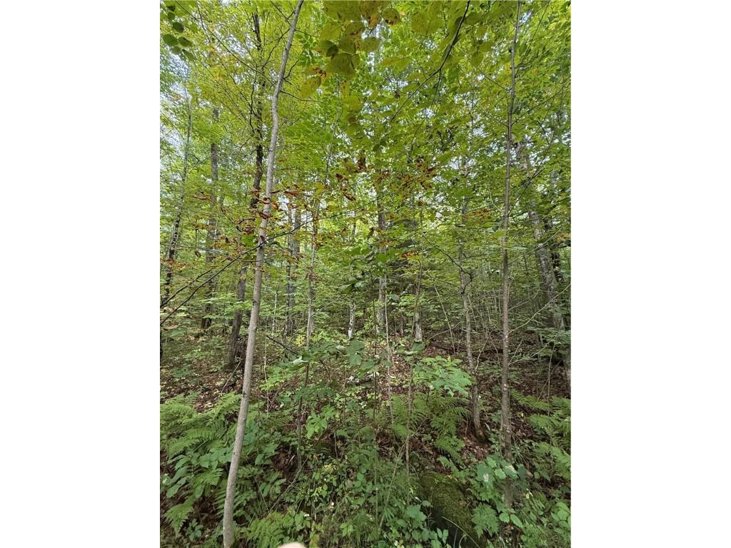 9598 E County Road L Lake Nebagamon WI 54849 1595231 image20