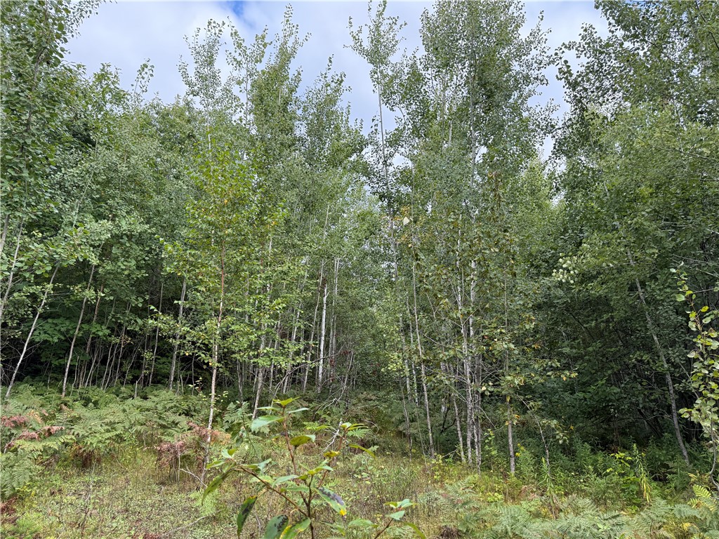 9598 E County Road L Lake Nebagamon WI 54849 1595231 image22