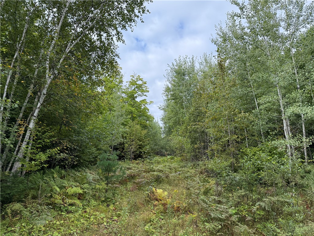 9598 E County Road L Lake Nebagamon WI 54849 1595231 image23