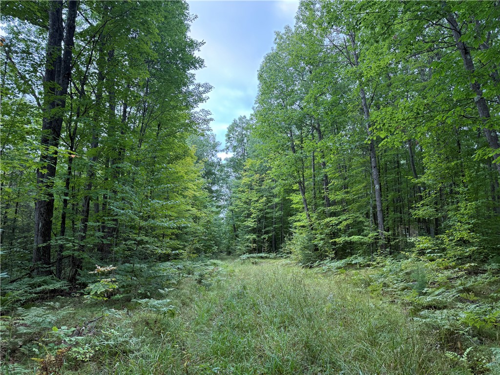 9598 E County Road L Lake Nebagamon WI 54849 1595231 image24