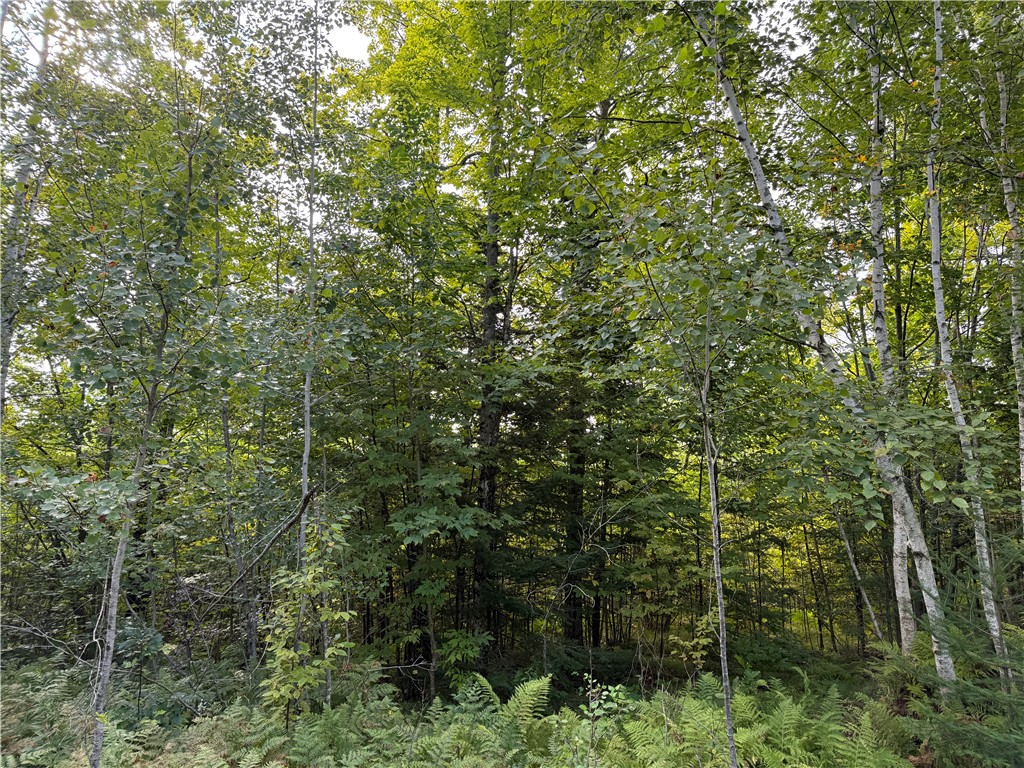 9598 E County Road L Lake Nebagamon WI 54849 1595231 image5