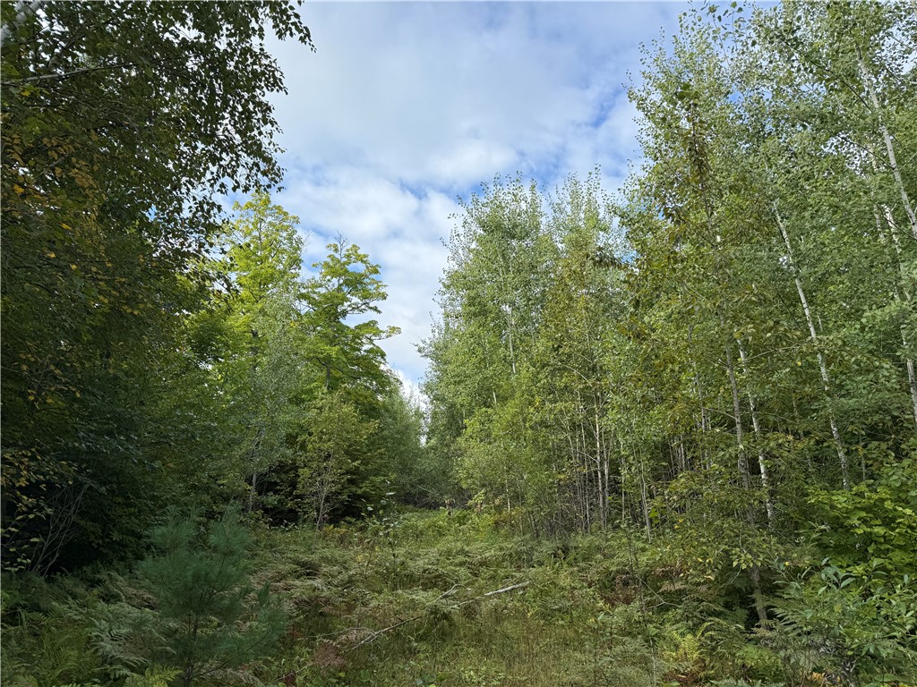 9598 E County Road L Lake Nebagamon WI 54849 1595231 image6