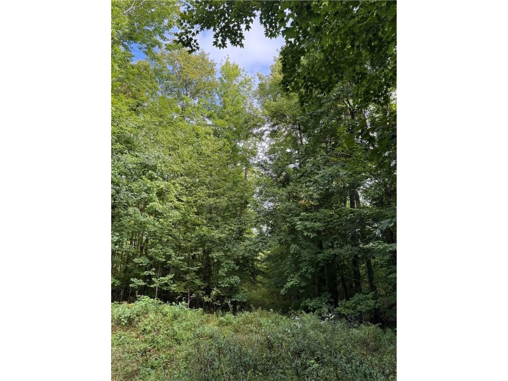 9598 E County Road L Lake Nebagamon WI 54849 1595231 image8