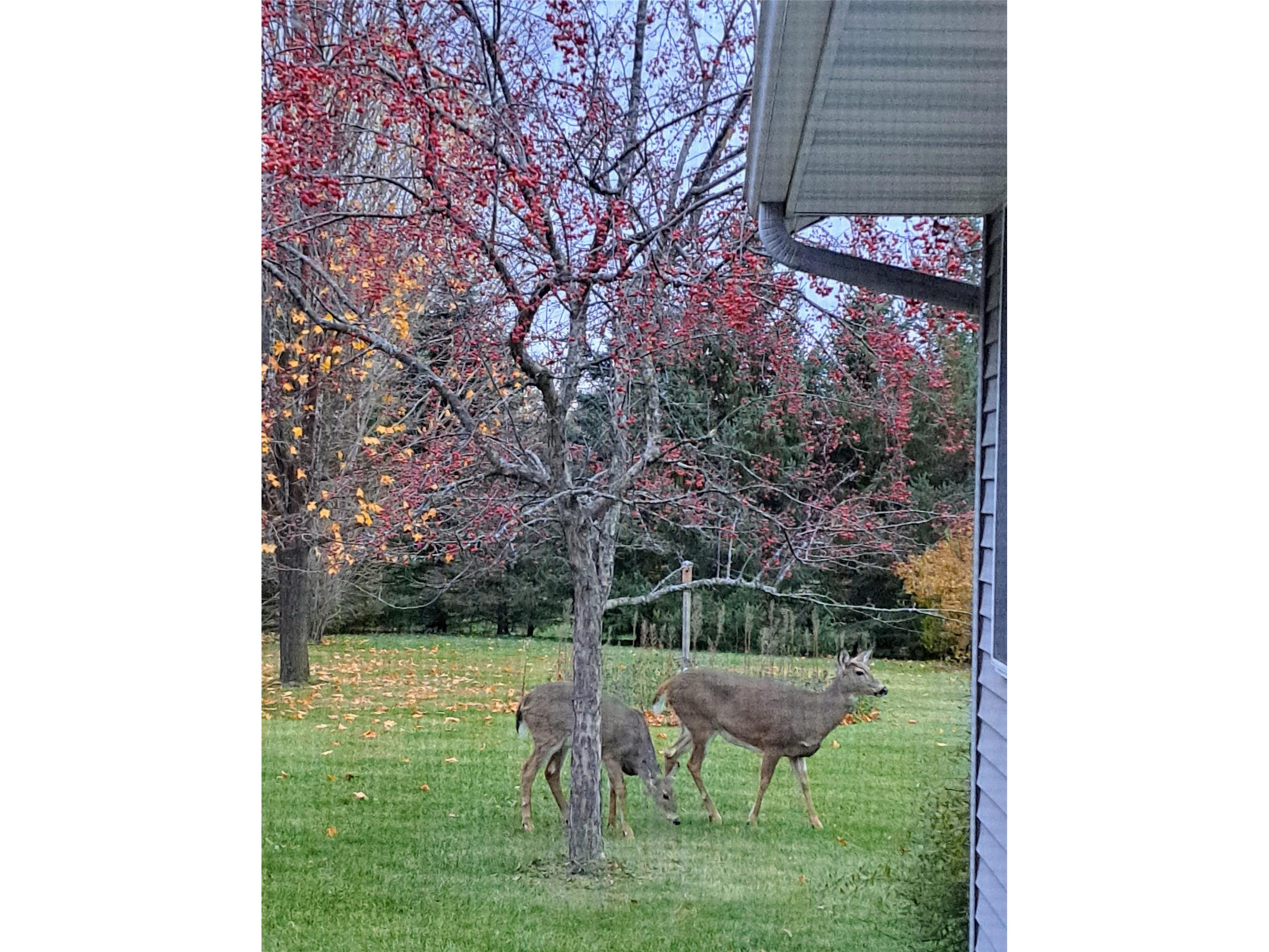 9646 167th Street Chippewa Falls WI 54729 1597744 image39