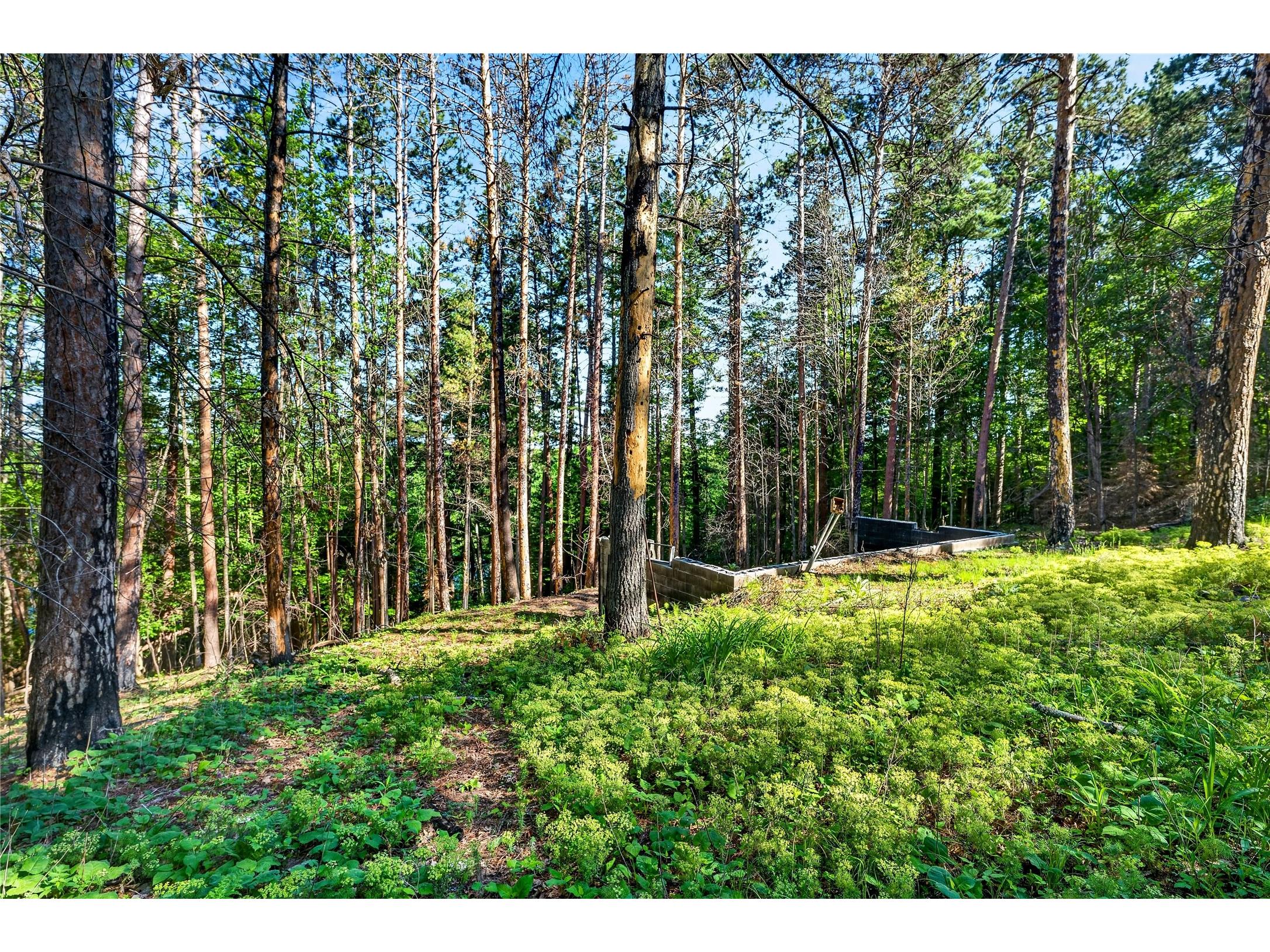 9735 E Acorn Drive Gordon WI 54838 - St Croix 1602162 image20