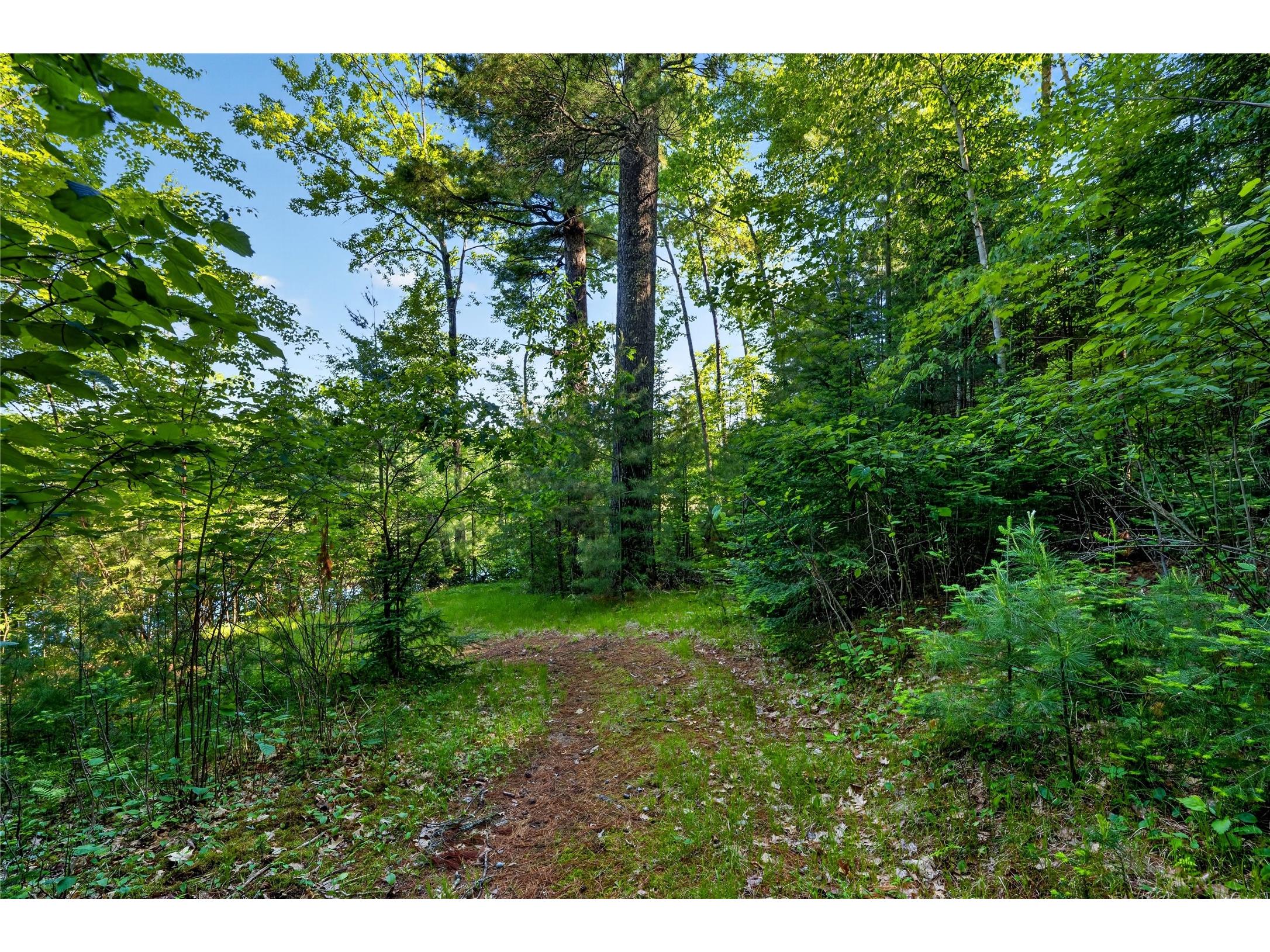 9735 E Acorn Drive Gordon WI 54838 - St Croix 1602162 image23