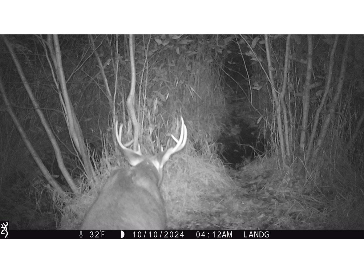 9862 E 740th Avenue Elk Mound WI 54739 - Elk Creek 1595720 image11