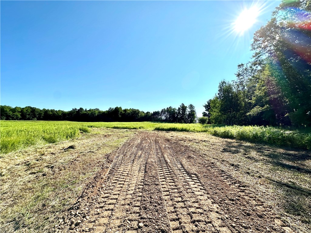 9862 E 740th Avenue Elk Mound WI 54739 - Elk Creek 1595720 image12