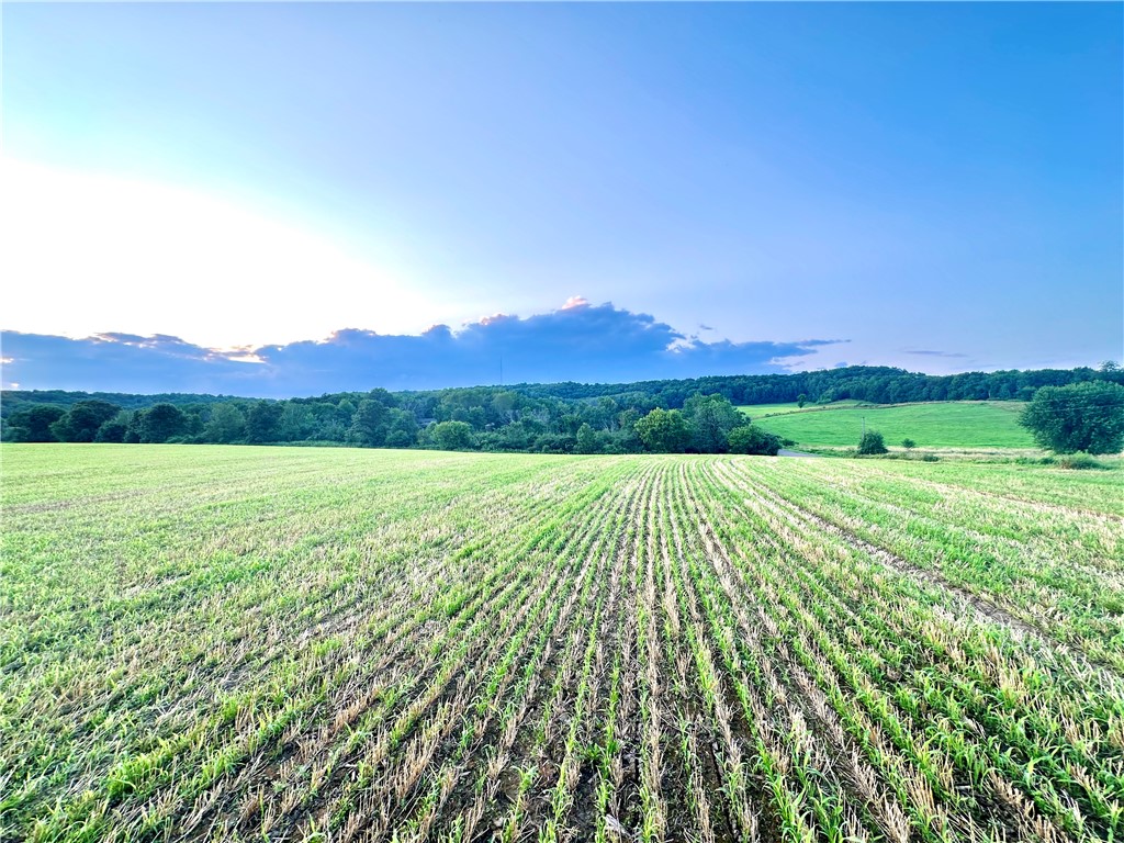 9862 E 740th Avenue Elk Mound WI 54739 - Elk Creek 1595720 image15