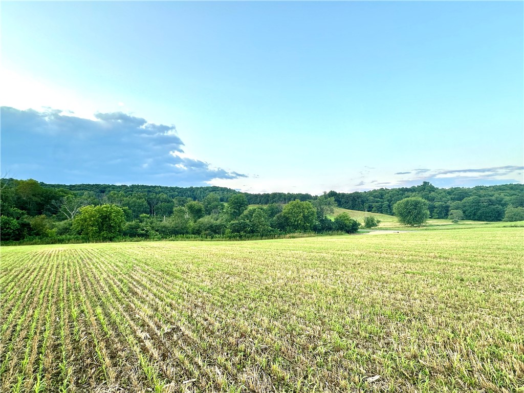 9862 E 740th Avenue Elk Mound WI 54739 - Elk Creek 1595720 image16