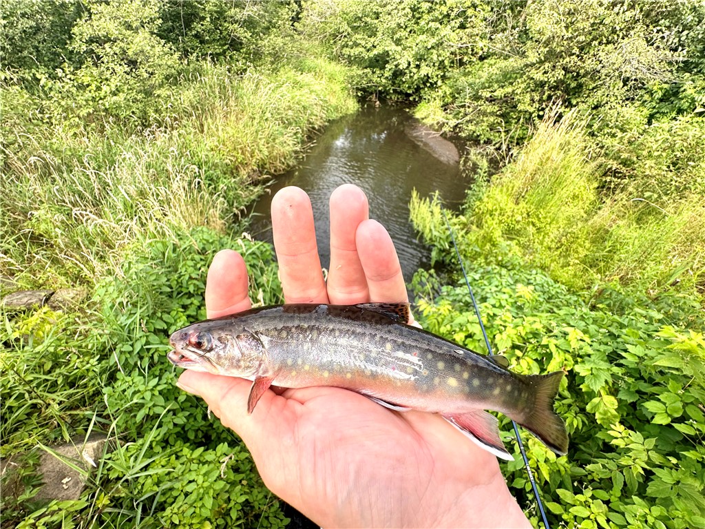 9862 E 740th Avenue Elk Mound WI 54739 - Elk Creek 1595720 image17