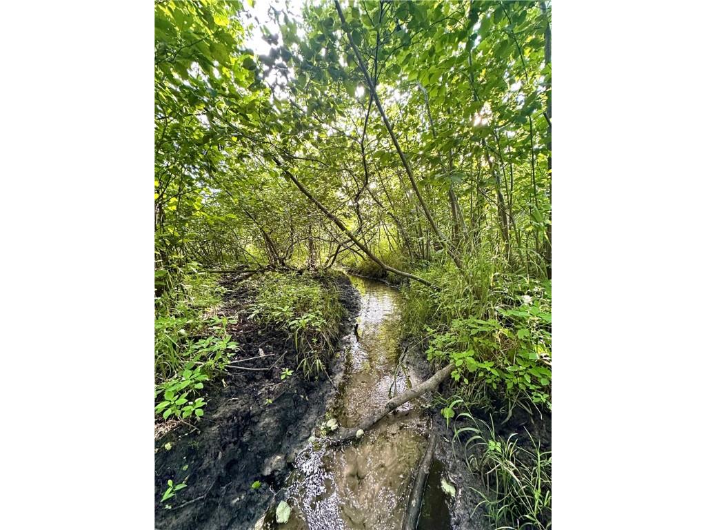 9862 E 740th Avenue Elk Mound WI 54739 - Elk Creek 1595720 image3