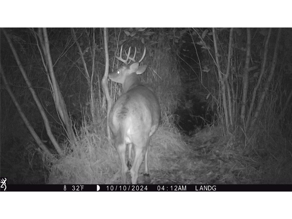 9862 E 740th Avenue Elk Mound WI 54739 - Elk Creek 1595720 image7