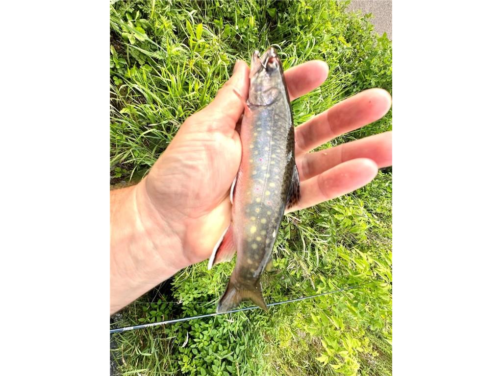 9862 E 740th Avenue Elk Mound WI 54739 - Elk Creek 1595720 image8