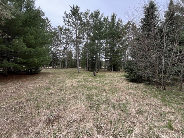 9868 Autumn Moon Road Hayward WI 54843 1600702 image10
