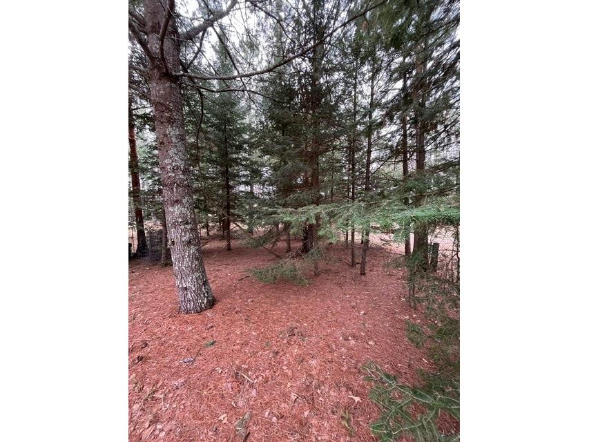 9868 Autumn Moon Road Hayward WI 54843 1600702 image12