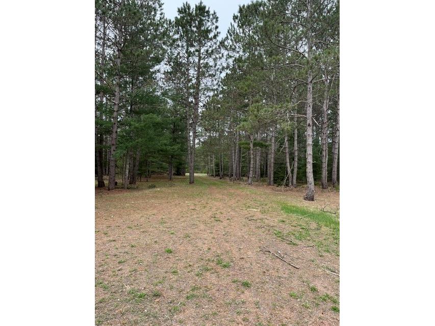 9868 Autumn Moon Road Hayward WI 54843 1600702 image6