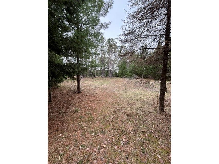 9868 Autumn Moon Road Hayward WI 54843 1600702 image9