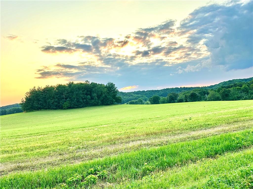 9876 E 740th Avenue Elk Mound WI 54739 - Elk Creek 1595720 image14