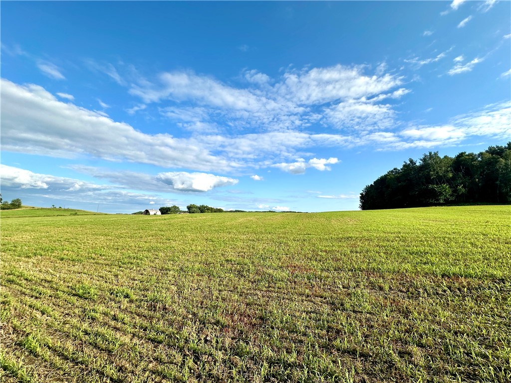 9876 E 740th Avenue Elk Mound WI 54739 - Elk Creek 1595720 image6