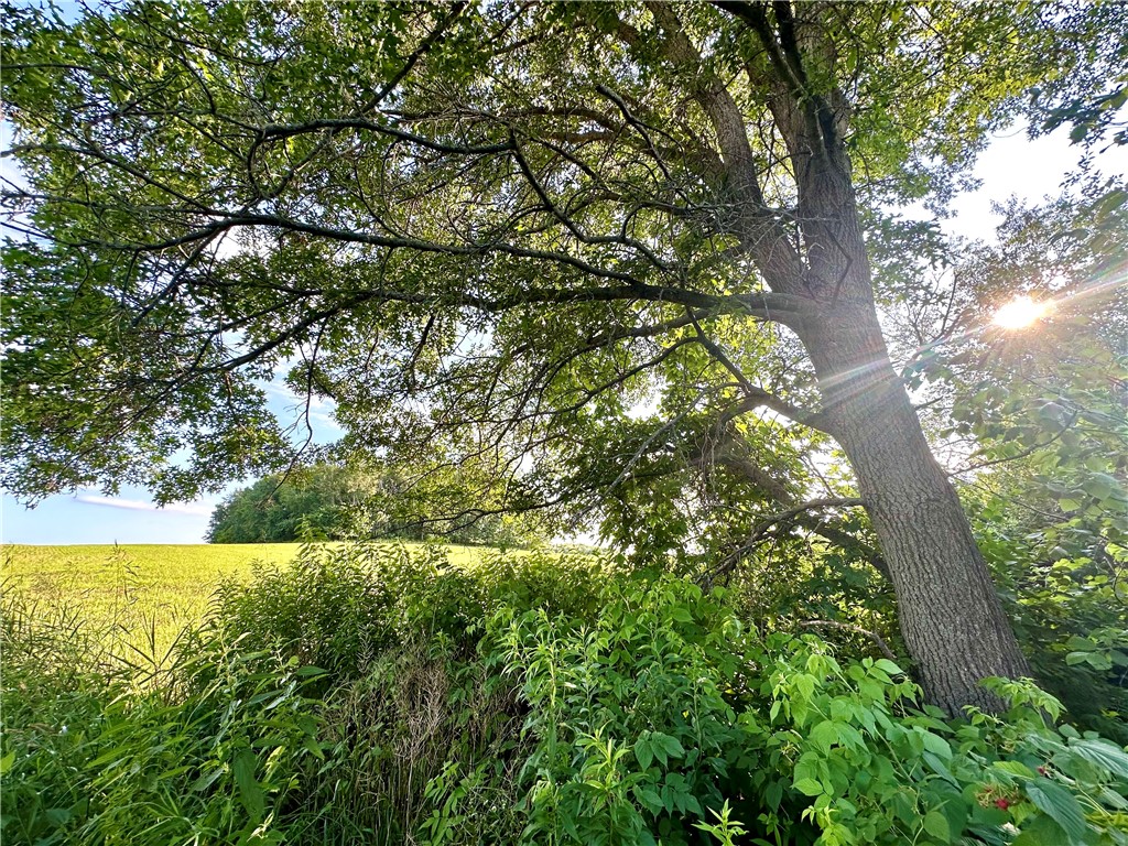 9876 E 740th Avenue Elk Mound WI 54739 - Elk Creek 1595720 image9