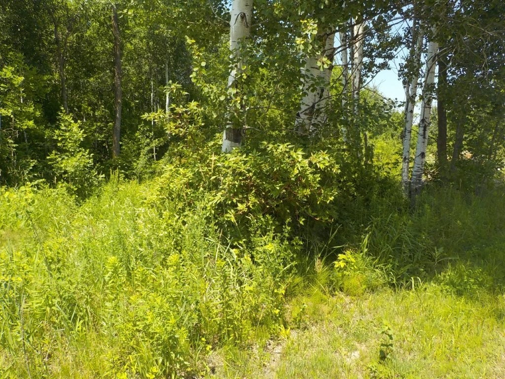 9888 N Mudhen Lake Road Siren WI 54872 1603133 image5