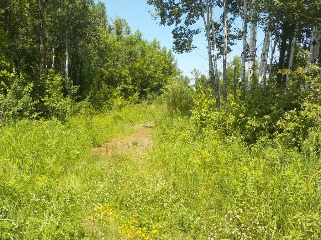 9888 N Mudhen Lake Road Siren WI 54872 1603133 image7