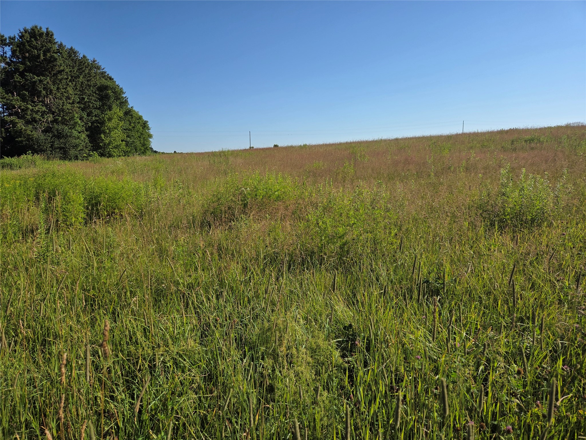 995 16th Street Barron WI 54812 1603167 image43