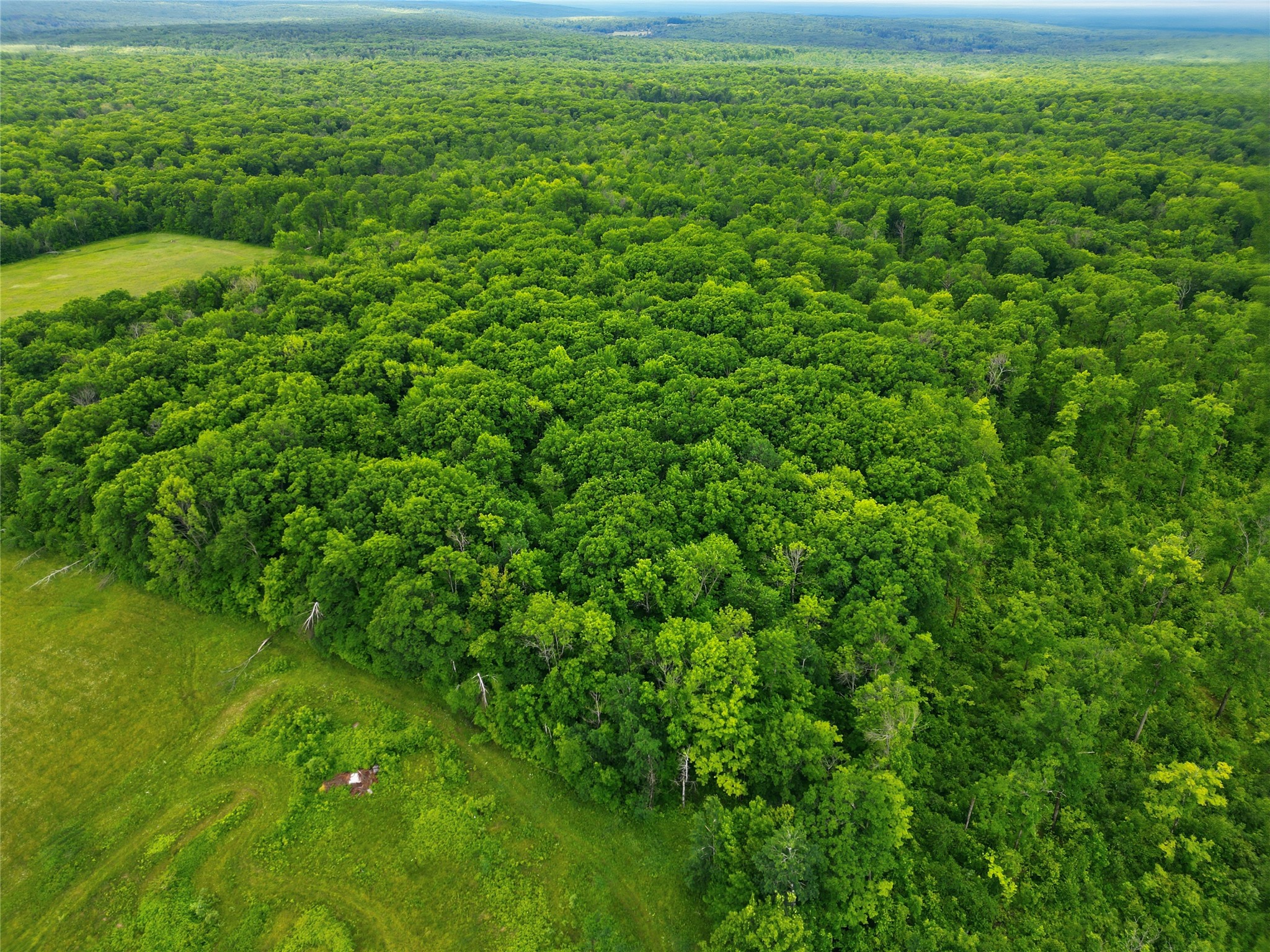 995N Zettel Road Exeland WI 54835 1602462 image17