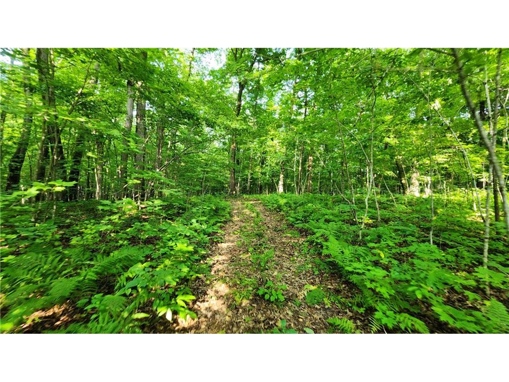 ABC 140th Street Milltown WI 54858 1575292 image1