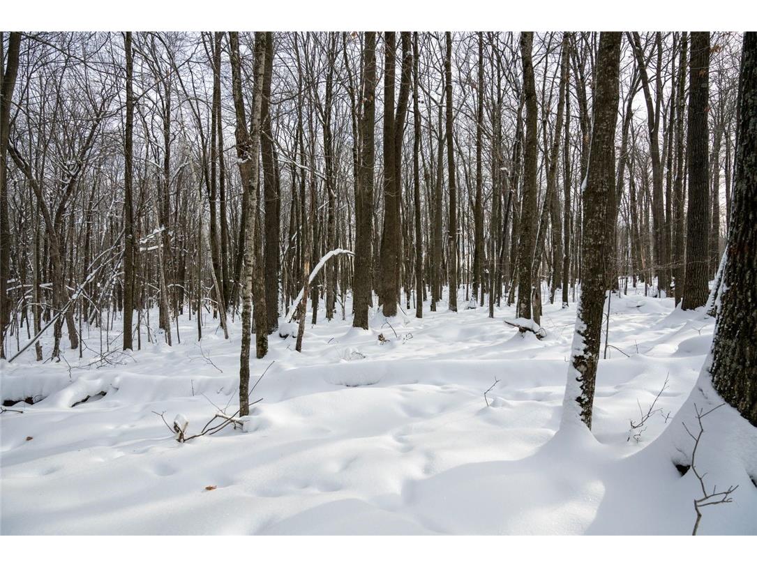 Block 1 Comet Road Exeland WI 54835 - Swift 1597540 image17