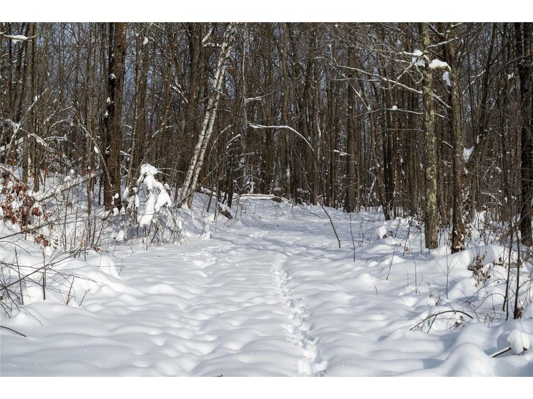 Block 1 Comet Road Exeland WI 54835 - Swift 1597540 image9