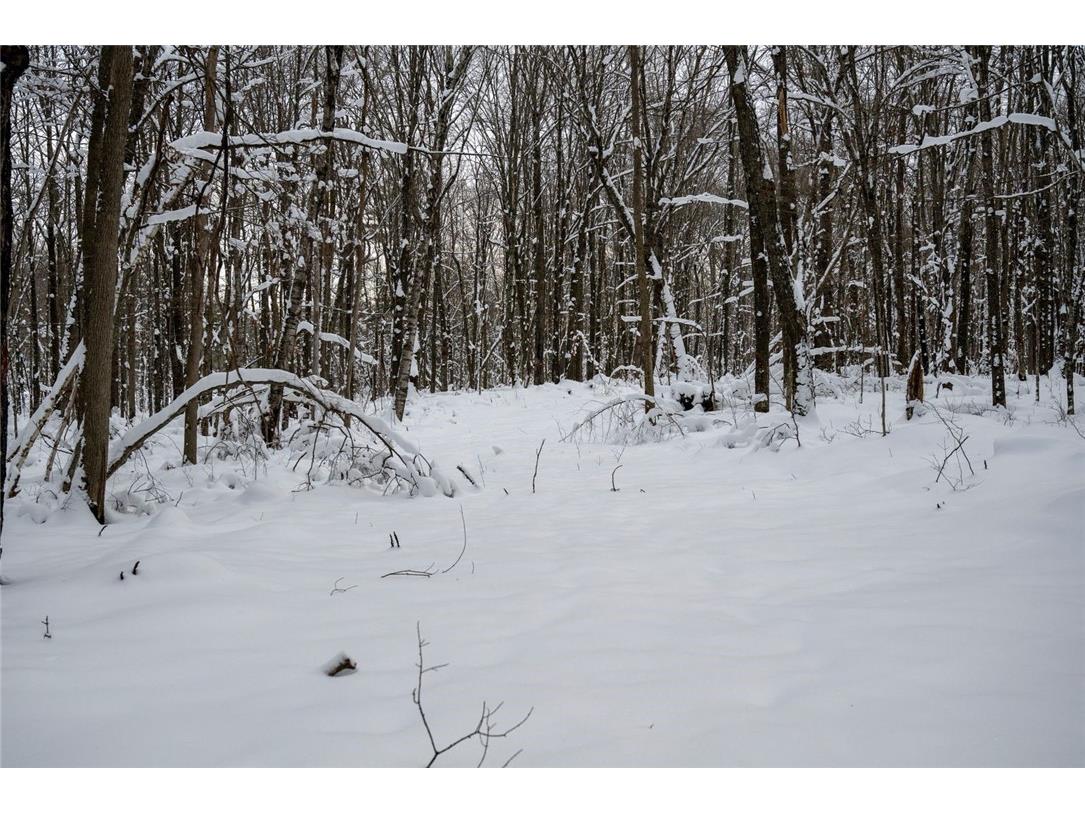Block 3 Comet Road Exeland WI 54835 - Knutson 1597549 image10