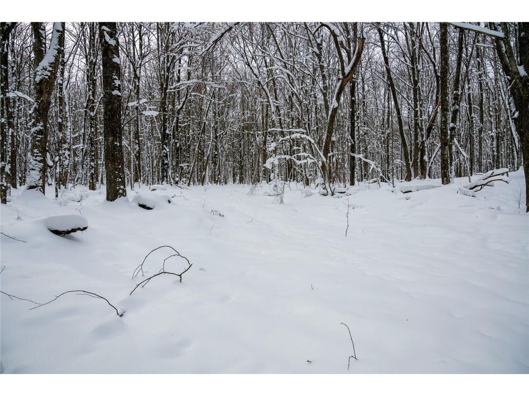 Block 3 Comet Road Exeland WI 54835 - Knutson 1597549 image11