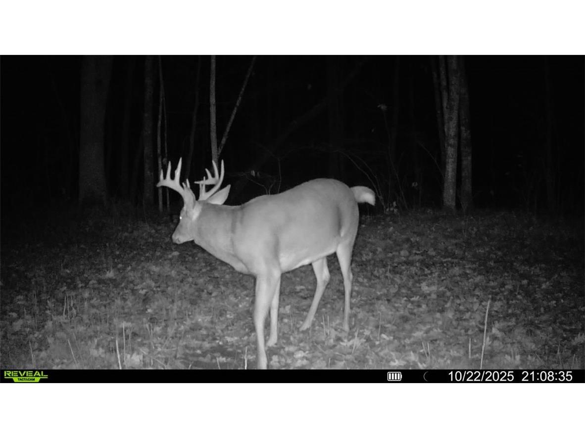 Block 3 Comet Road Exeland WI 54835 - Knutson 1597549 image15