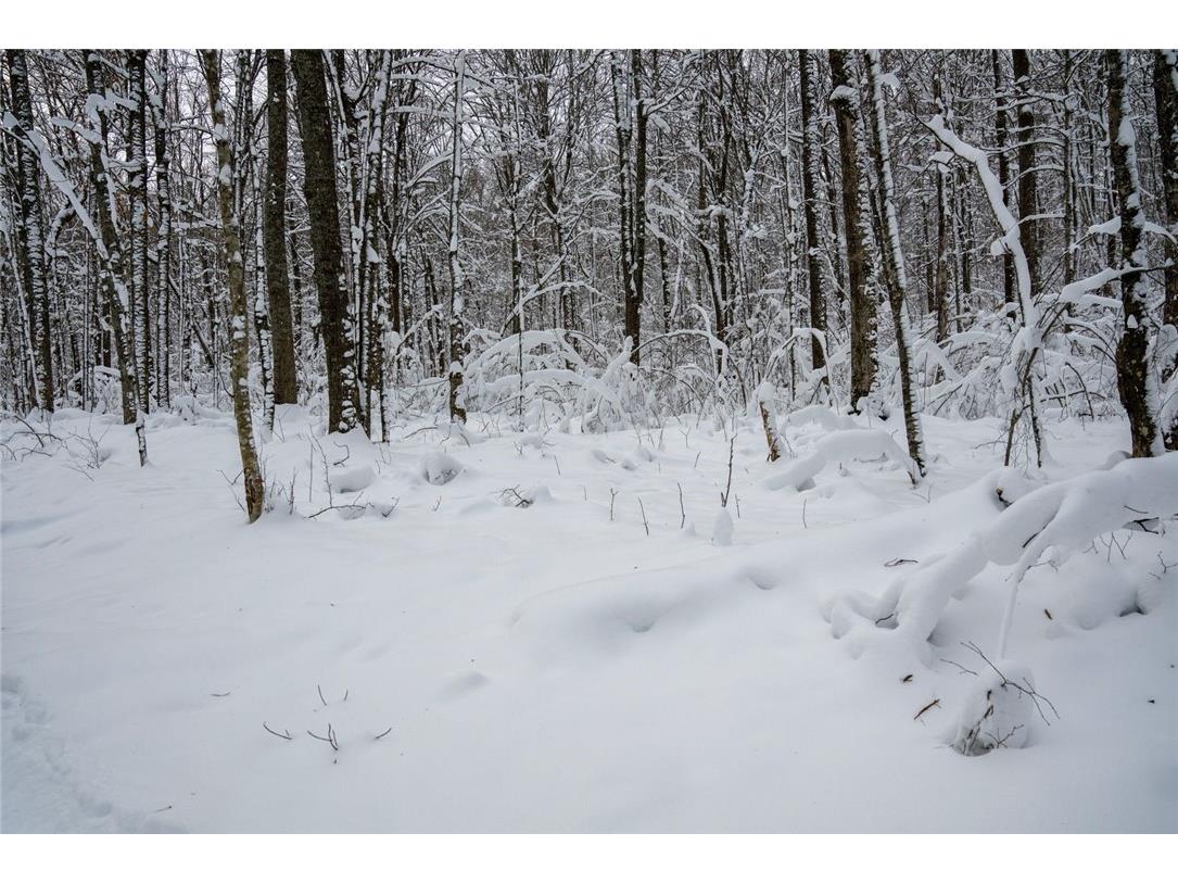 Block 4 Comet Road Exeland WI 54835 - Knutson 1597550 image13