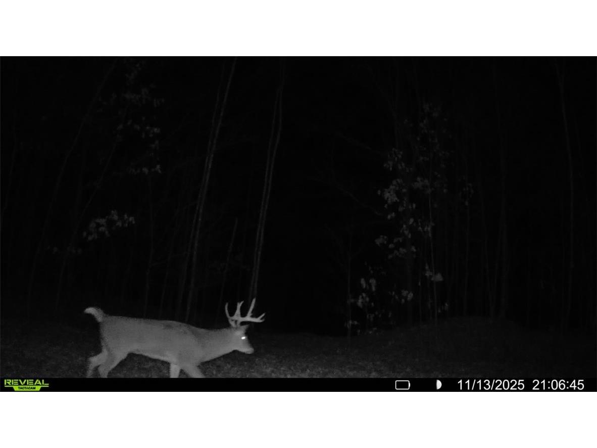 Block 4 Comet Road Exeland WI 54835 - Knutson 1597550 image23