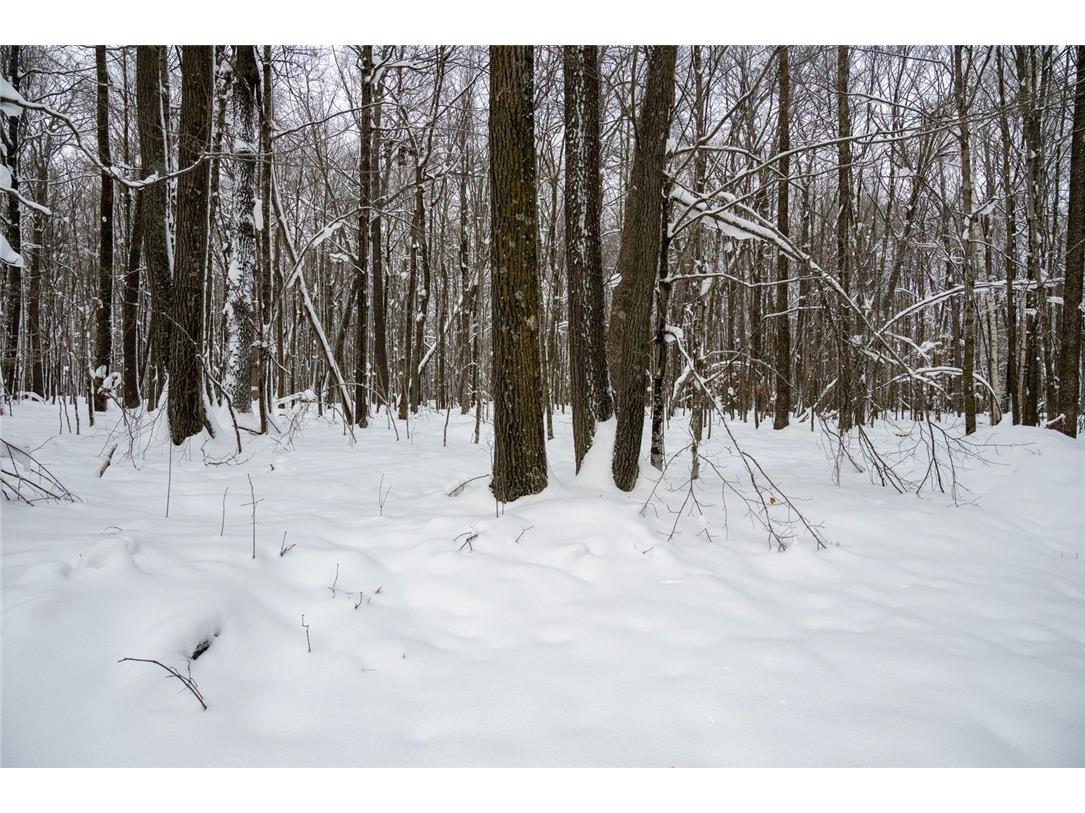 Block 6 Comet Road Exeland WI 54835 - Beaver Lake 1597555 image10