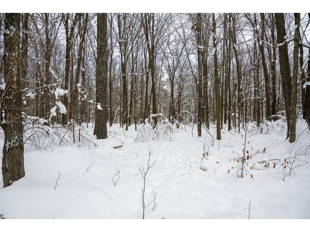 Block 6 Comet Road Exeland WI 54835 - Beaver Lake 1597555 image8