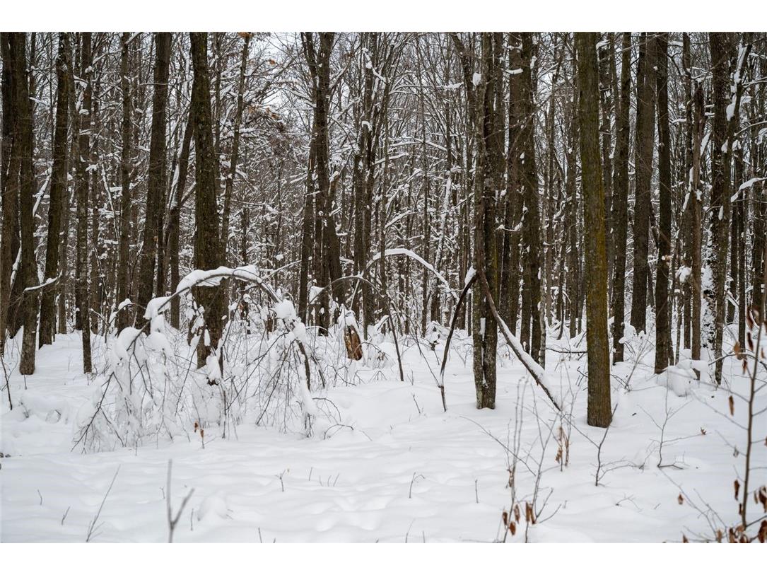 Block 6 Comet Road Exeland WI 54835 - Beaver Lake 1597555 image9