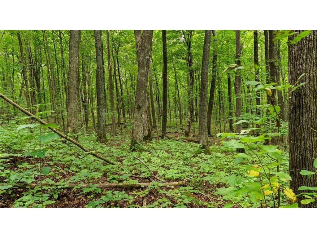 Block 7 Comet Road Exeland WI 54835 - Swift 1597556 image11