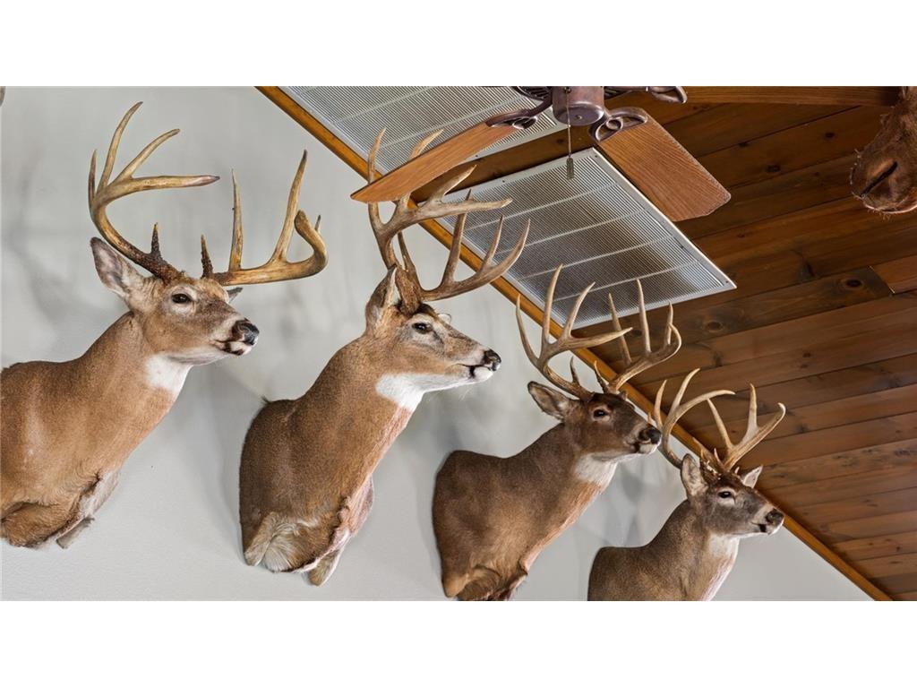 Block 7 Comet Road Exeland WI 54835 - Swift 1597556 image32