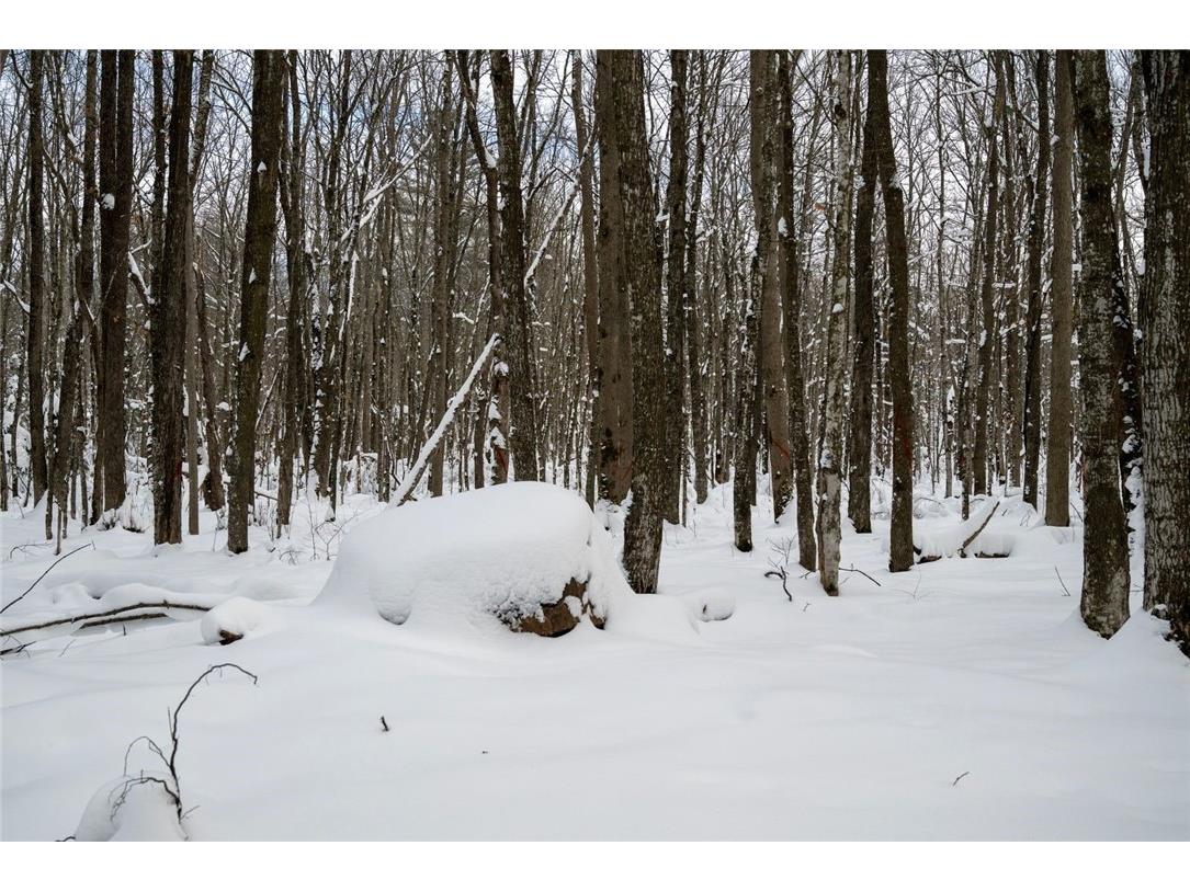 Block 9 Comet Road Exeland WI 54835 - Knutson 1597606 image11