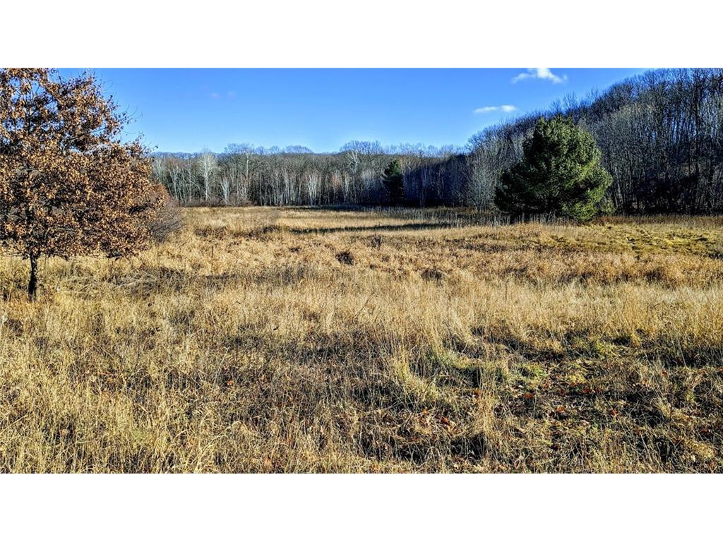 E 17575 Scenic Drive Fall Creek WI 54742 1578850 image1