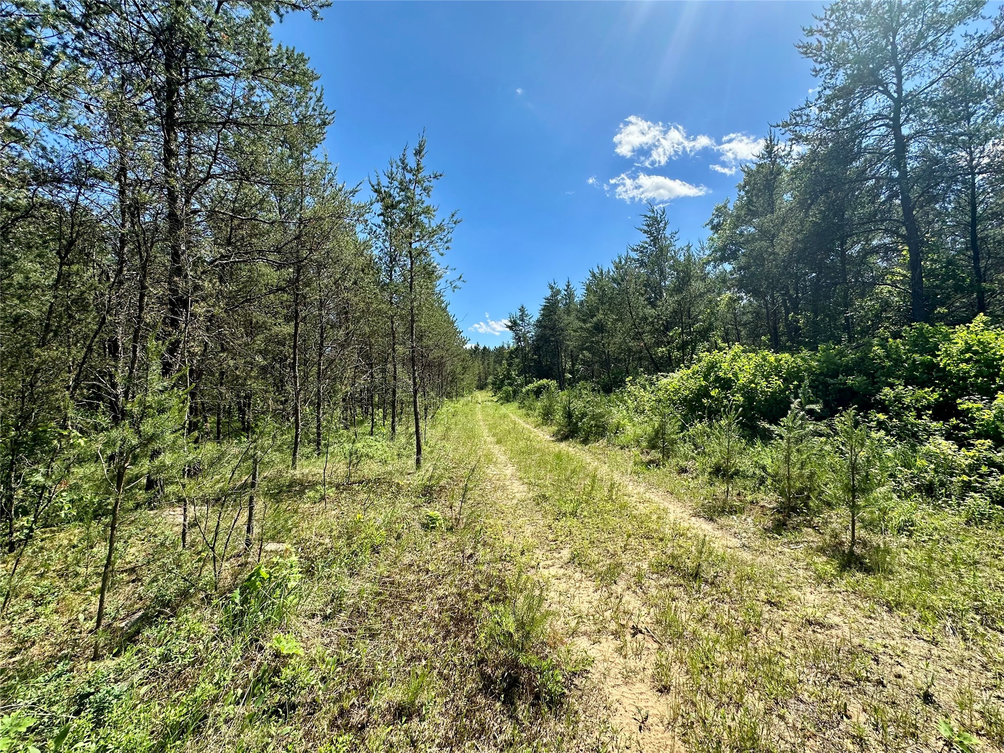 E20244 Cty Rd Gg Augusta WI 54722 1602250 image10