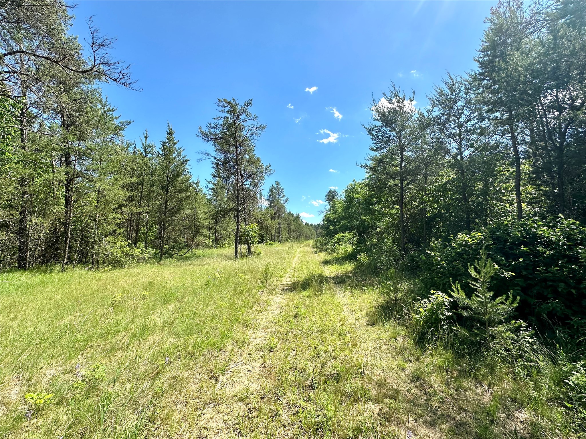 E20244 Cty Rd Gg Augusta WI 54722 1602250 image13